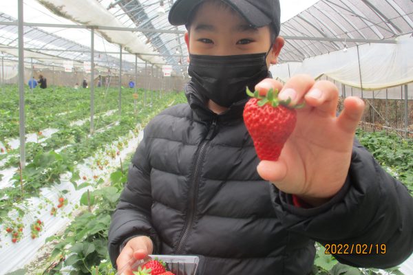 イチゴ狩り🍓