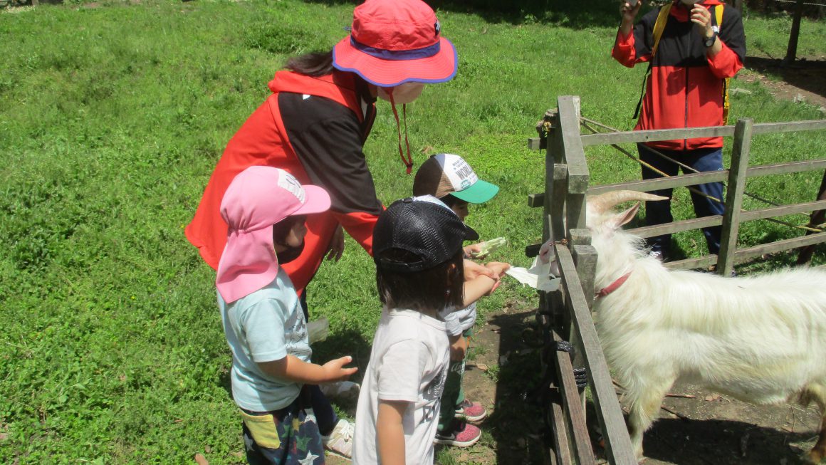 🌷🌻合同遠足・里山カフェにいこう