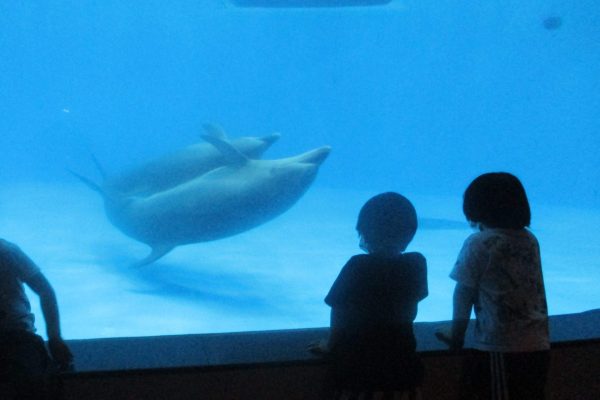 遠足に行こう🎒☆