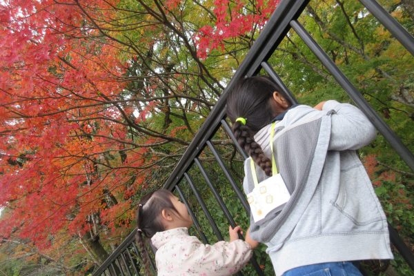 散策に行ったよ🍂