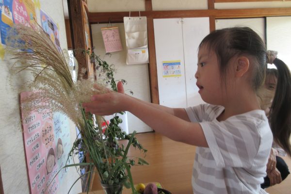 粉遊びからの・・・お月見団子🎑