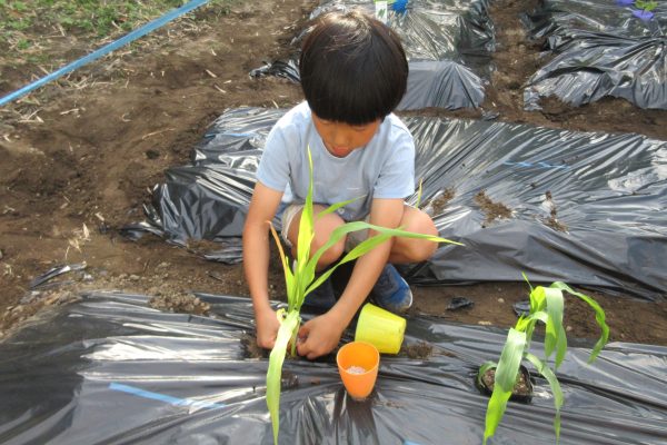 🌱夏野菜を植えよう（学童部）